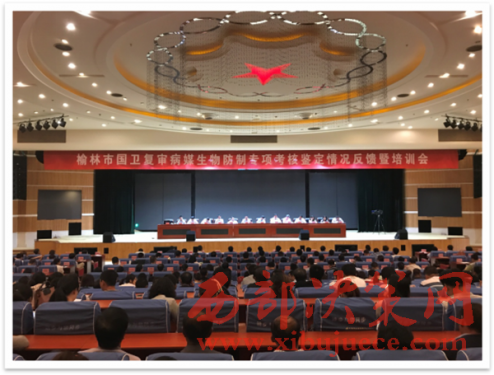 �������_���l(w��i)�͌���ý������ƿ�