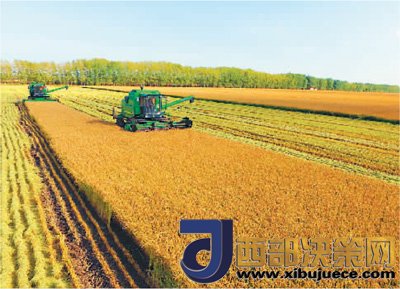 1506476578515262.jpg 3.jpg