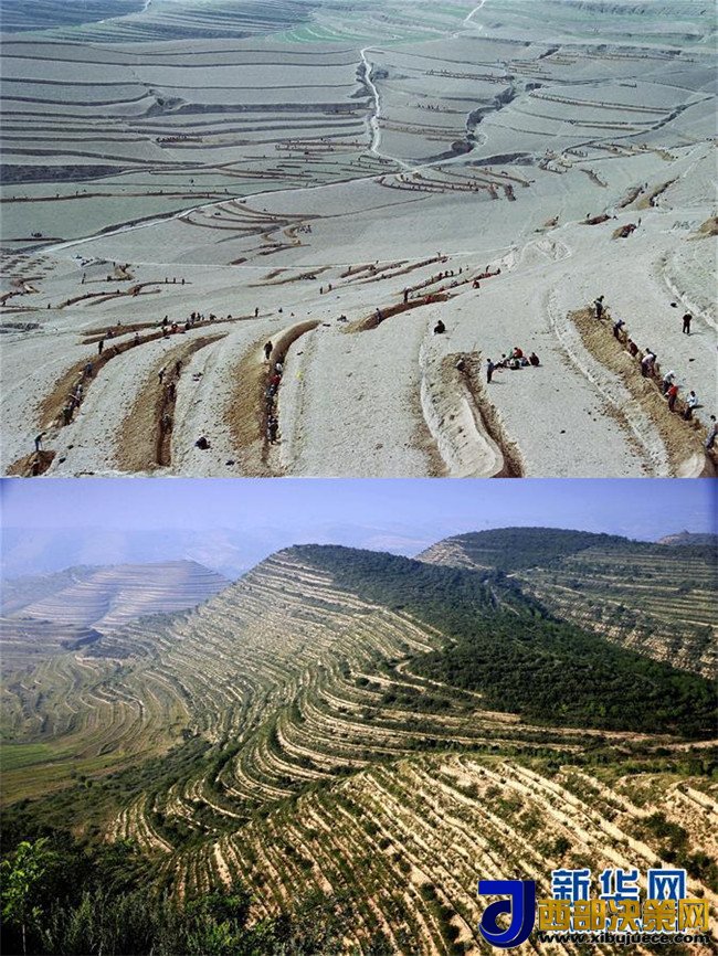 1509499095707012.jpg 3.JPG