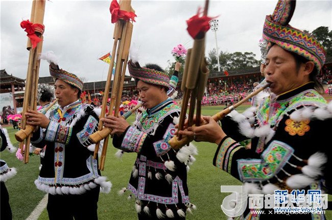 1511141095152590.jpg 3.jpg