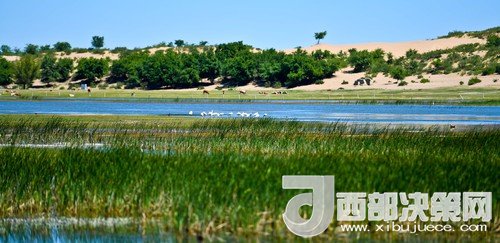 阿魯科爾沁保護(hù)區(qū)濕地沙丘。吳勇攝