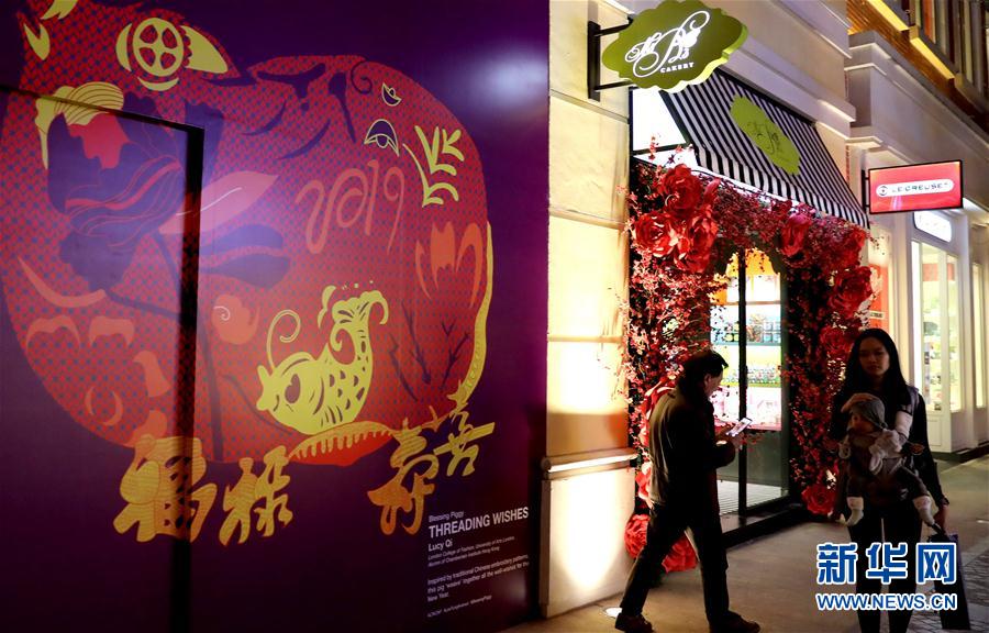 （社會(huì)）（1）小豬快來