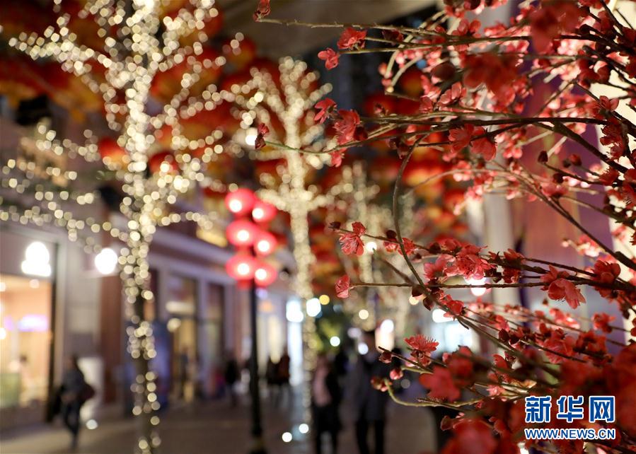 （社會(huì)）（5）小豬快來