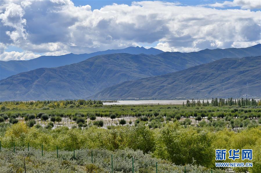 （圖文互動(dòng)）（4）“今天的生活，就像夢(mèng)里夢(mèng)到那樣甜”——寫在西藏百萬農(nóng)奴解放61周年之際