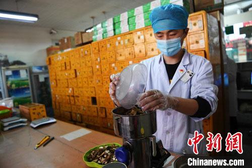 疫情發(fā)生以來，甘肅確保所有病例盡早、及時、全程使用中醫(yī)中藥，努力做到“一患一方案”。(資料圖) 楊艷敏 攝
