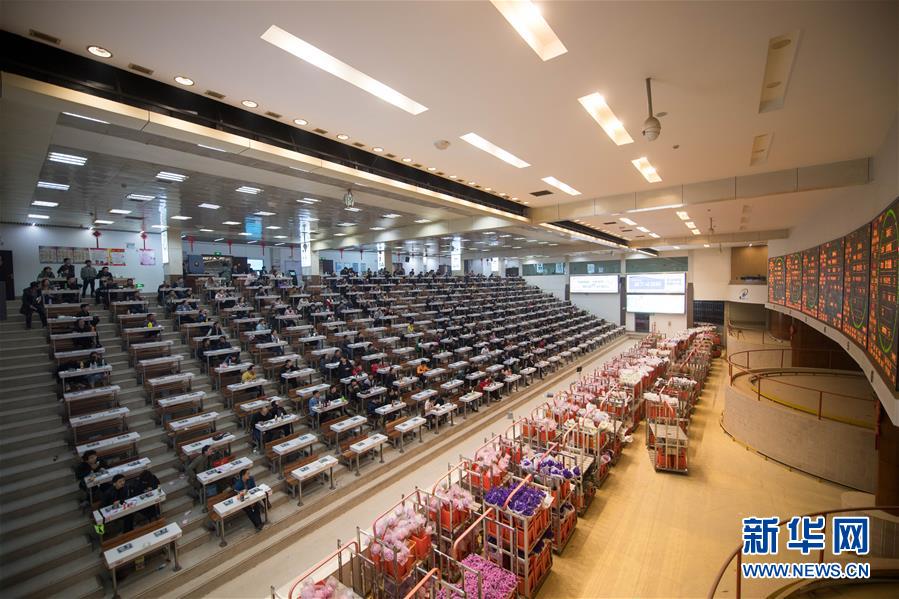 (新華全媒頭條·走向我們的小康生活·圖文互動)(9)綠染云嶺小康路——生態(tài)文明建設(shè)的云南實(shí)踐