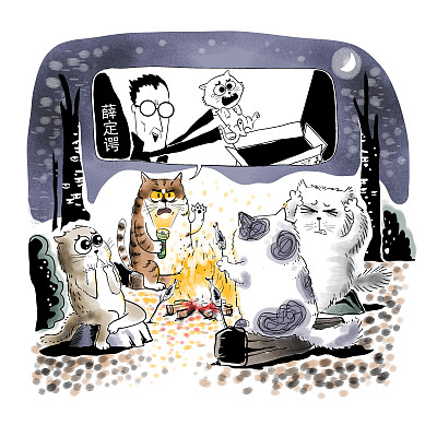 ▲物理學(xué)家薛定諤曾用一只貓比喻量子疊加。圖片來源：視覺中國