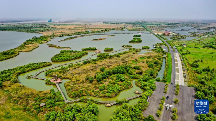 (新華全媒頭條·圖文互動(dòng))(3)“讓我們一起向未來(lái)”——聆聽(tīng)習(xí)近平主席2022年新年賀詞