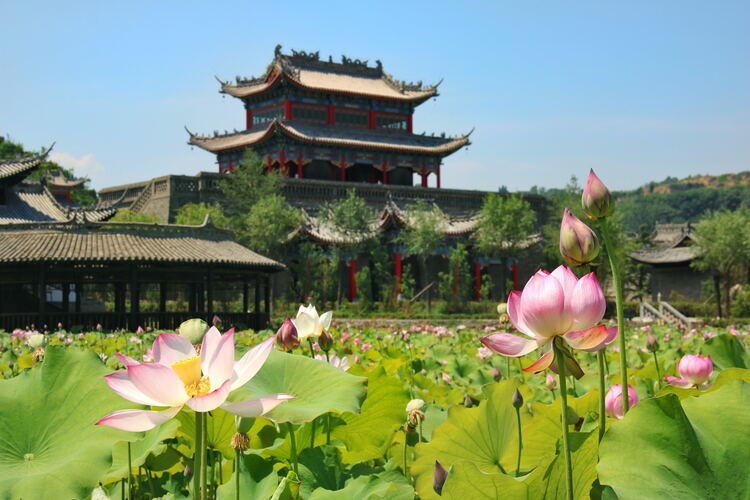 【云游渭南】心中若有桃花源，此處便是水云間！待疫情散盡，一起來渭南桃花源賞美景、觀民俗、享美食_fororder_2